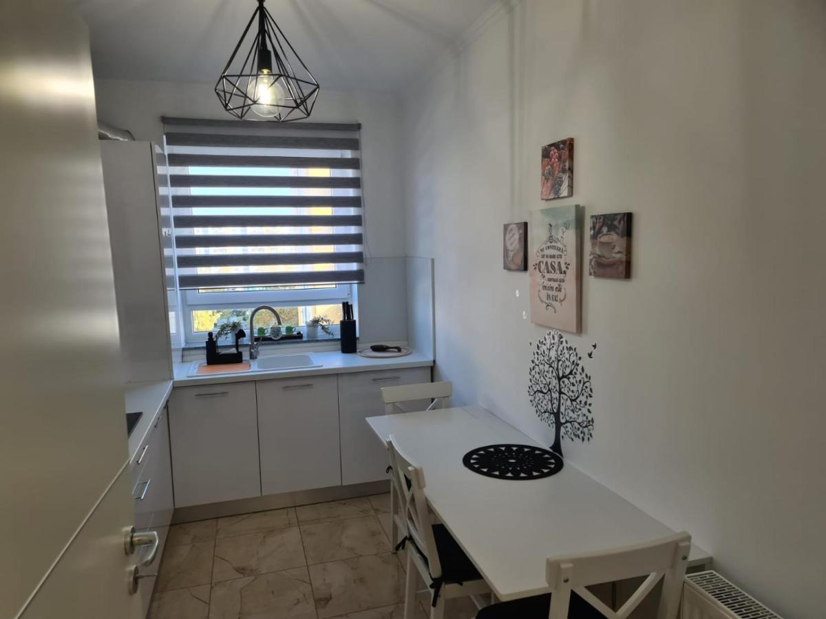 Oscar House Leilighet Braşov Eksteriør bilde